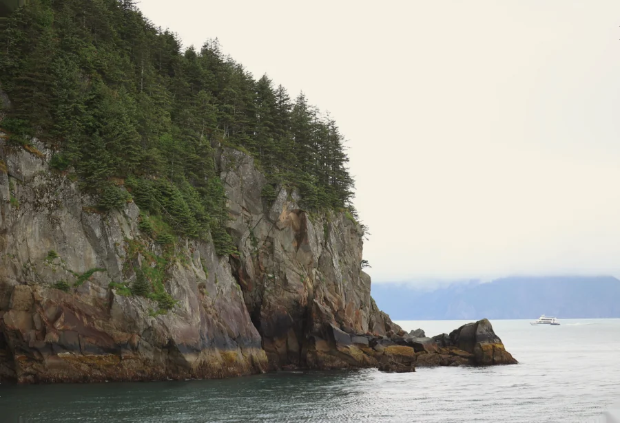 A spruce-covered rock headland dropping into calm grey water, with mountains on the far shore